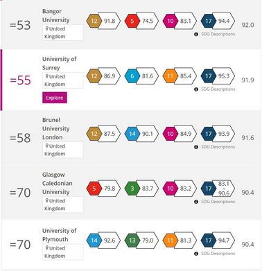 2022世界大学影响力排名重磅发布英国20所大学进入TOP100,2022年度世界大学影响力排名