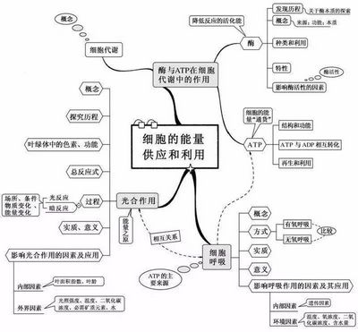 2022高考倒计时100天生物想拿高分只需看透这20张图,2022高考倒计时一百天