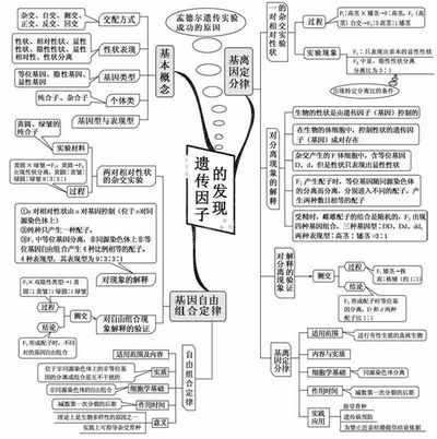 2022高考倒计时100天生物想拿高分只需看透这20张图,2022高考倒计时一百天