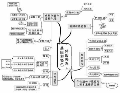 2022高考倒计时100天生物想拿高分只需看透这20张图,2022高考倒计时一百天