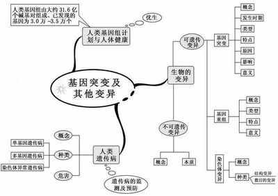 2022高考倒计时100天生物想拿高分只需看透这20张图,2022高考倒计时一百天