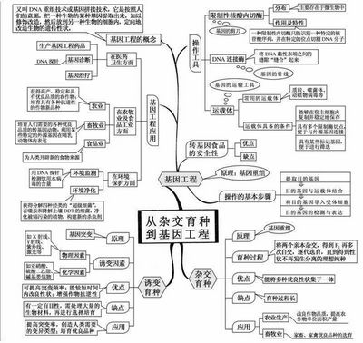 2022高考倒计时100天生物想拿高分只需看透这20张图,2022高考倒计时一百天