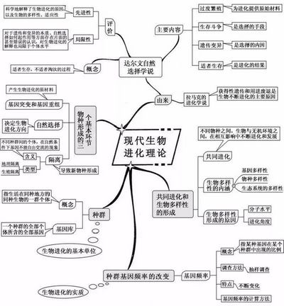 2022高考倒计时100天生物想拿高分只需看透这20张图,2022高考倒计时一百天