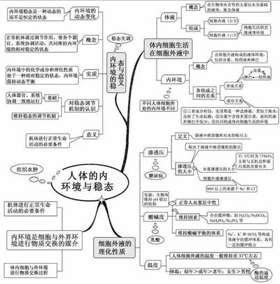 2022高考倒计时100天生物想拿高分只需看透这20张图,2022高考倒计时一百天