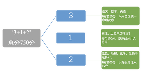 新高考3+1+2高一学生如何选科,新高考3+1+2怎样选科