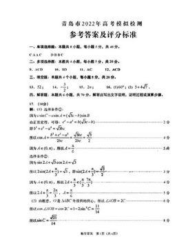 2022年高考模拟数学试卷及答案,2022年高考模拟题数学