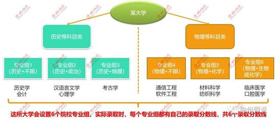 高考志愿｜聊聊江苏新高考志愿填报手把手教你填志愿,江苏新高考如何填志愿