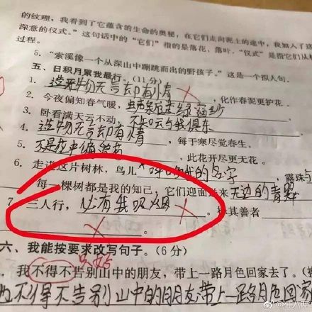 小学生考倒数第一试卷爆红老师已经崩溃你的智商无人能及,小学生\