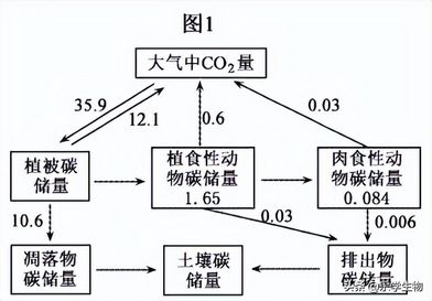 2022高考生物第二次模拟试题+答案高一高二高三借鉴电子版,2022届高三第二次联考生物答案