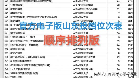 2022年山东高考志愿填报简单高效选择96个志愿一个表就够了,高考志愿填报山东2020