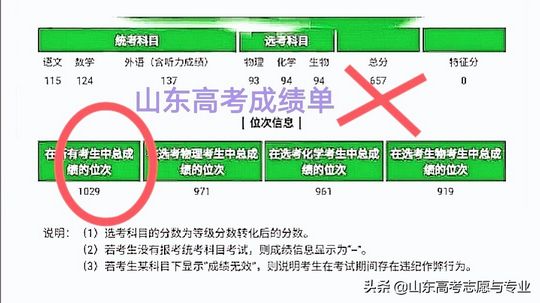 2022年山东高考志愿填报简单高效选择96个志愿一个表就够了,高考志愿填报山东2020