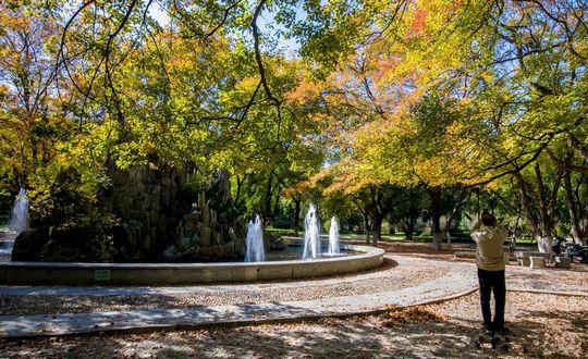 高考落榜生迎来好消息只要弥补得好今年一样可以上大学,高考落榜也能上大学