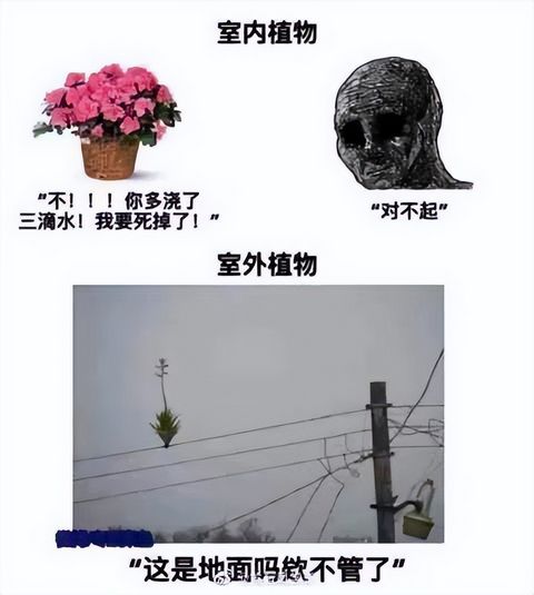 高考最后一秒如何逆风翻盘？哈哈哈哈哈今日段子已更新,高考前一分钟怎么逆袭