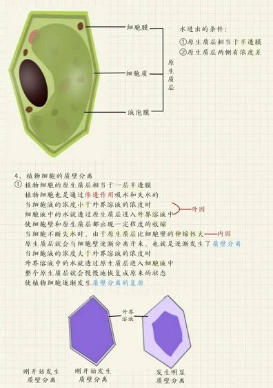 超级学霸知识归类笔记超全高考考点大全快来看看,学霸的知识体系