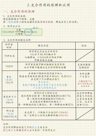 超级学霸知识归类笔记超全高考考点大全快来看看,学霸的知识体系