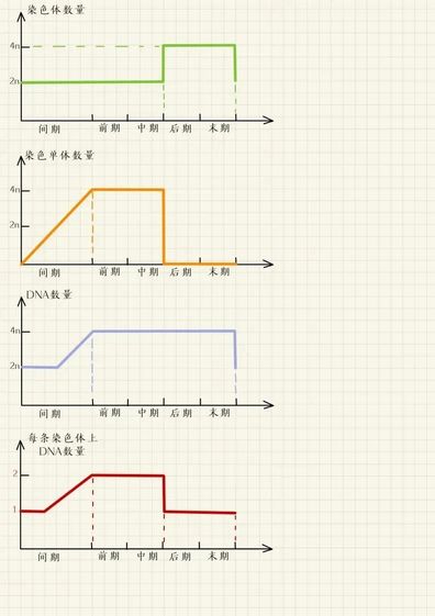 超级学霸知识归类笔记超全高考考点大全快来看看,学霸的知识体系