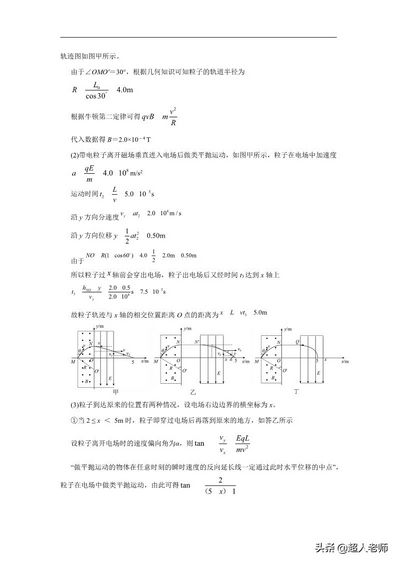 2021年最新高考冲刺压轴卷-理综试题含解析,2021年全国高考冲刺压轴卷二理综