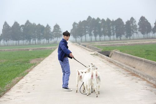 《极限挑战》第四季明晚回归极限高考生为梦想各显神通,极限挑战第四季高考哪一期