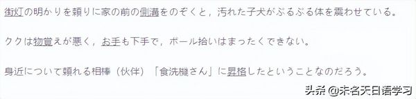 高考日语词条上热搜今年真的很难吗？,高考日语为什么火了