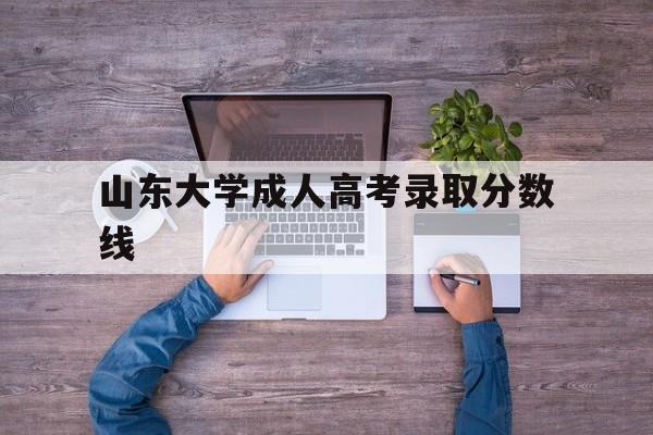 山东大学成人高考录取分数线 2019年山东大学成人高考录取分数线