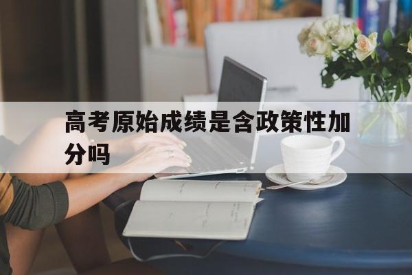 高考原始成绩是含政策性加分吗,高考成绩含政策性加分是什么意思