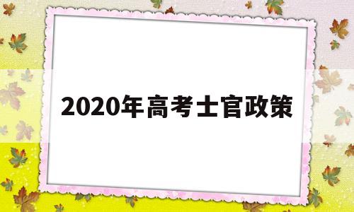 2020年高考士官政策 2020年士官自主择业政策