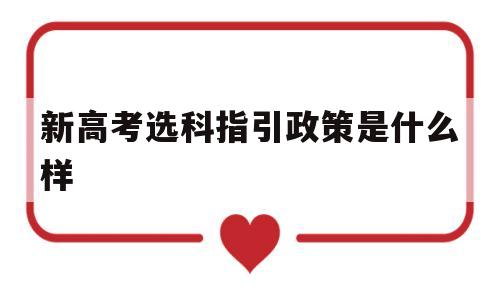 关于新高考选科指引政策是什么样的信息