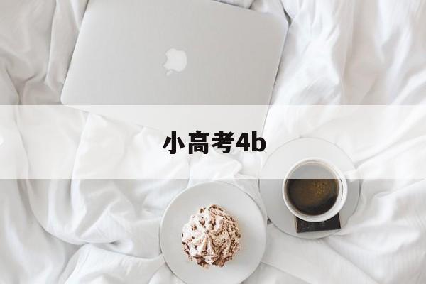 小高考4b,小高考4门没过能高考吗